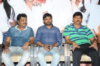 Green Signal Platinum Disc Function